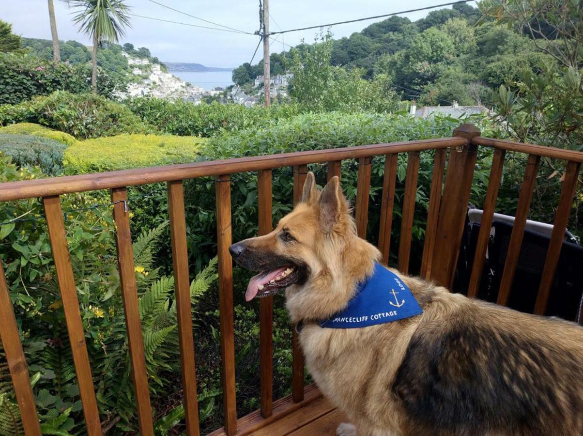 Dog Friendly Nancecliff Cottages Looe Ngoại thất bức ảnh