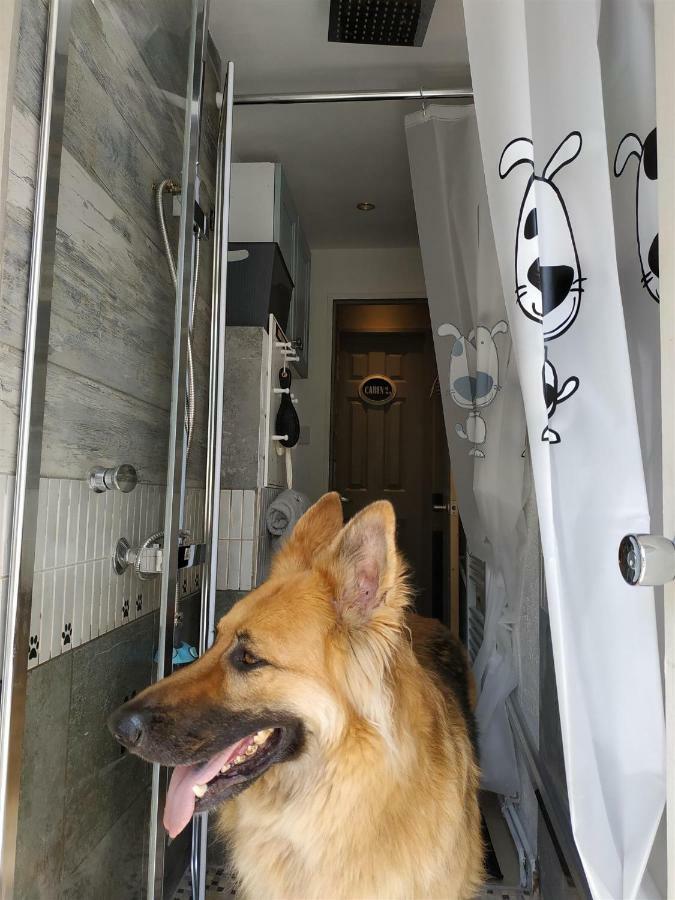 Dog Friendly Nancecliff Cottages Looe Ngoại thất bức ảnh