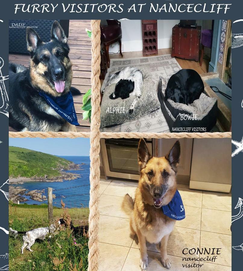 Dog Friendly Nancecliff Cottages Looe Ngoại thất bức ảnh