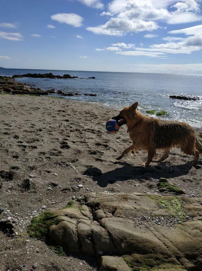 Dog Friendly Nancecliff Cottages Looe Ngoại thất bức ảnh